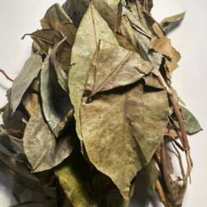 Soursop leaves tea